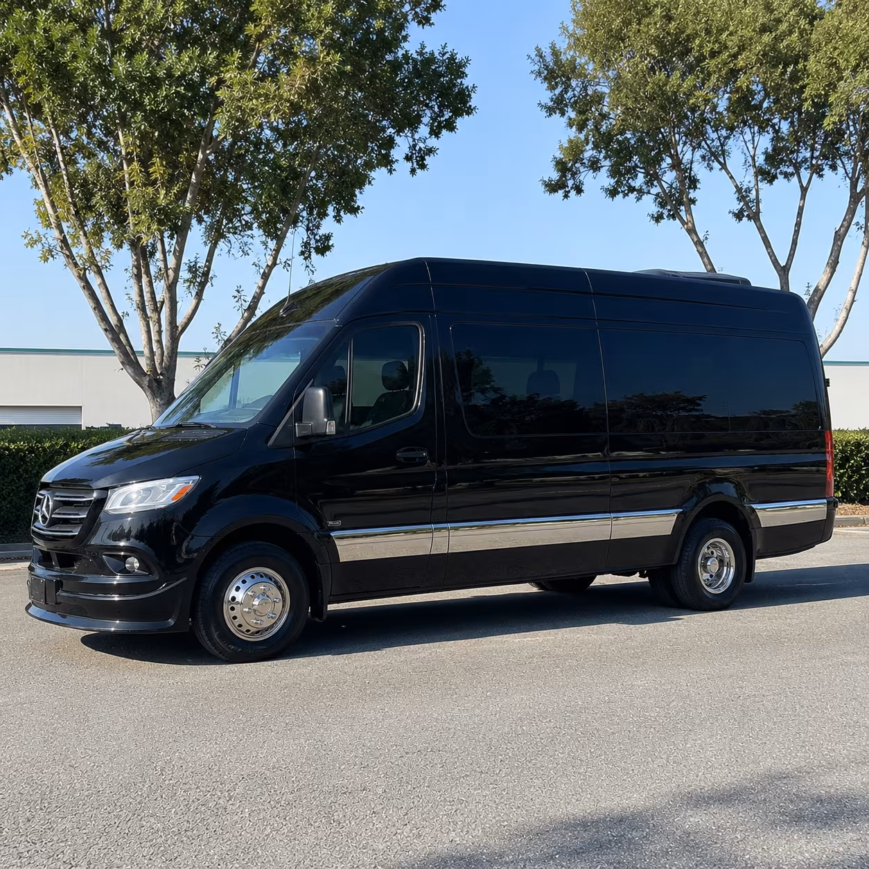 Sprinter Van